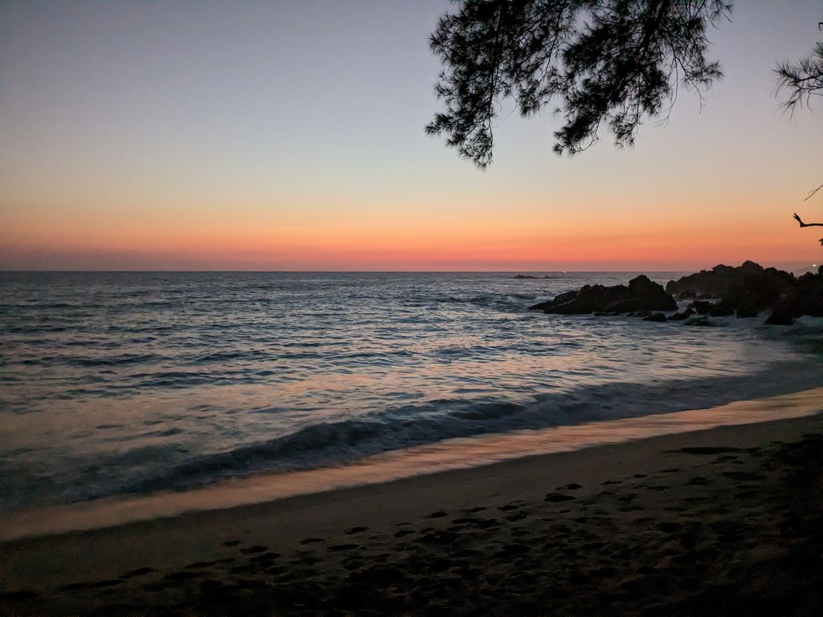 The Human Experience